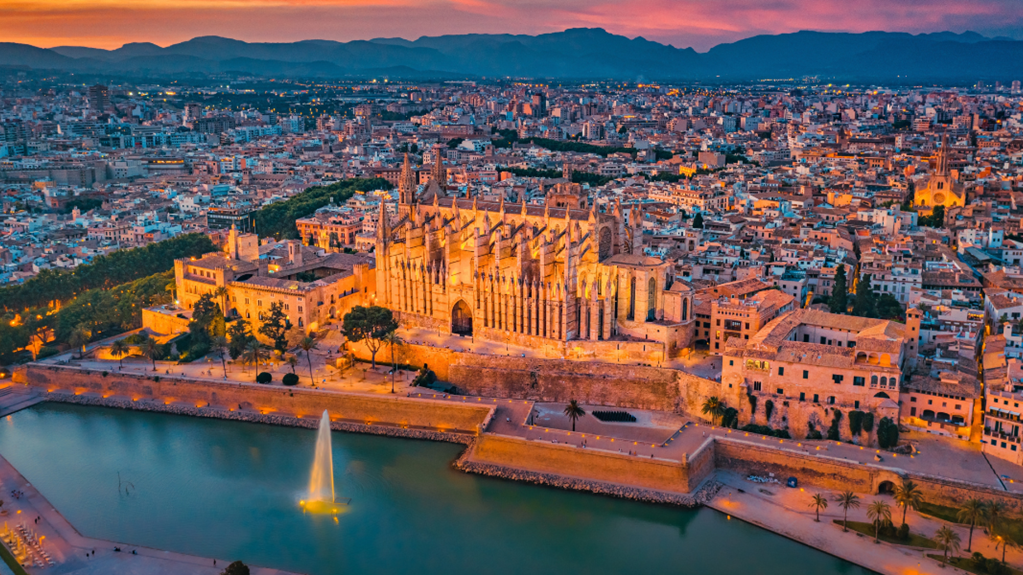 Puis découvrez Palma by night, là où la vie espagnole se révèle à vous !