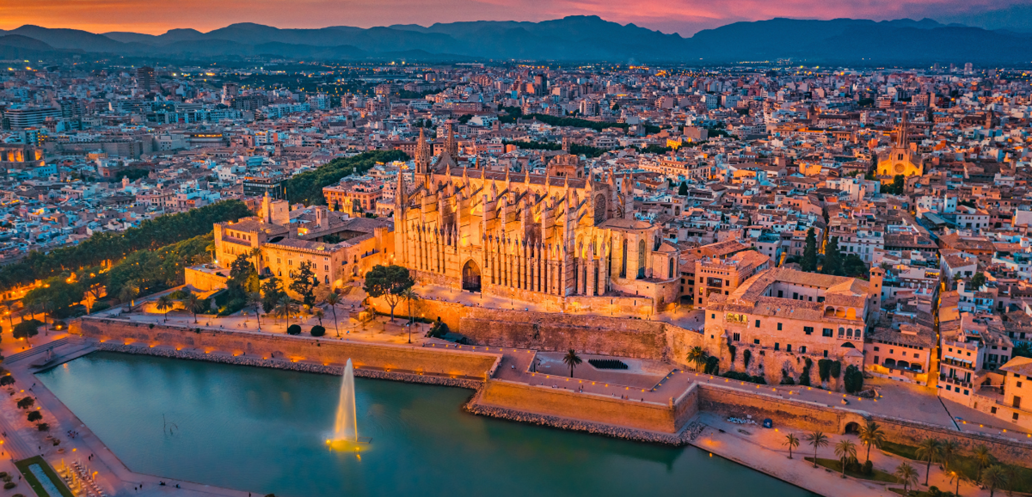 Puis découvrez Palma by night, là où la vie espagnole se révèle à vous !