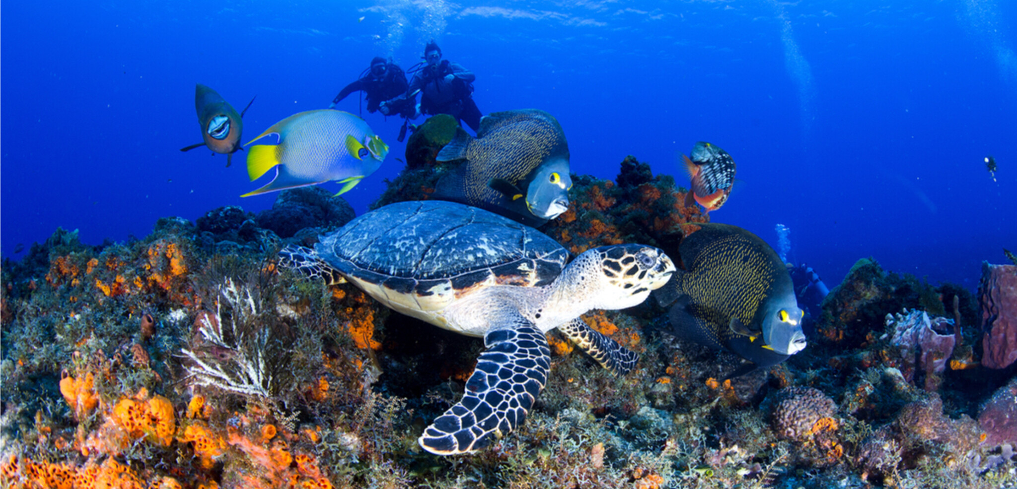 Pour en prendre plein la vue !