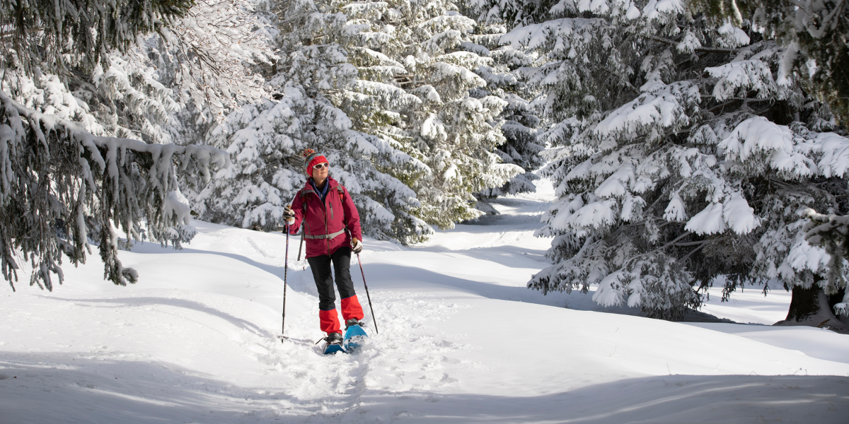 Randonnée en raquettes 