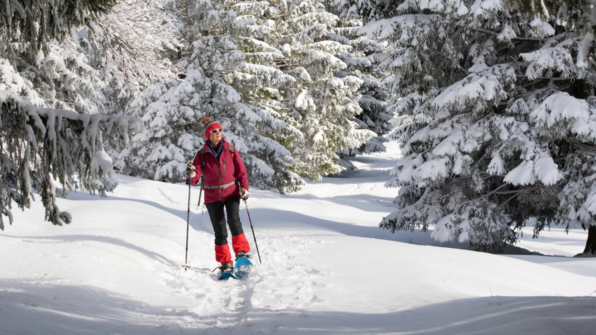 Randonnée en raquettes