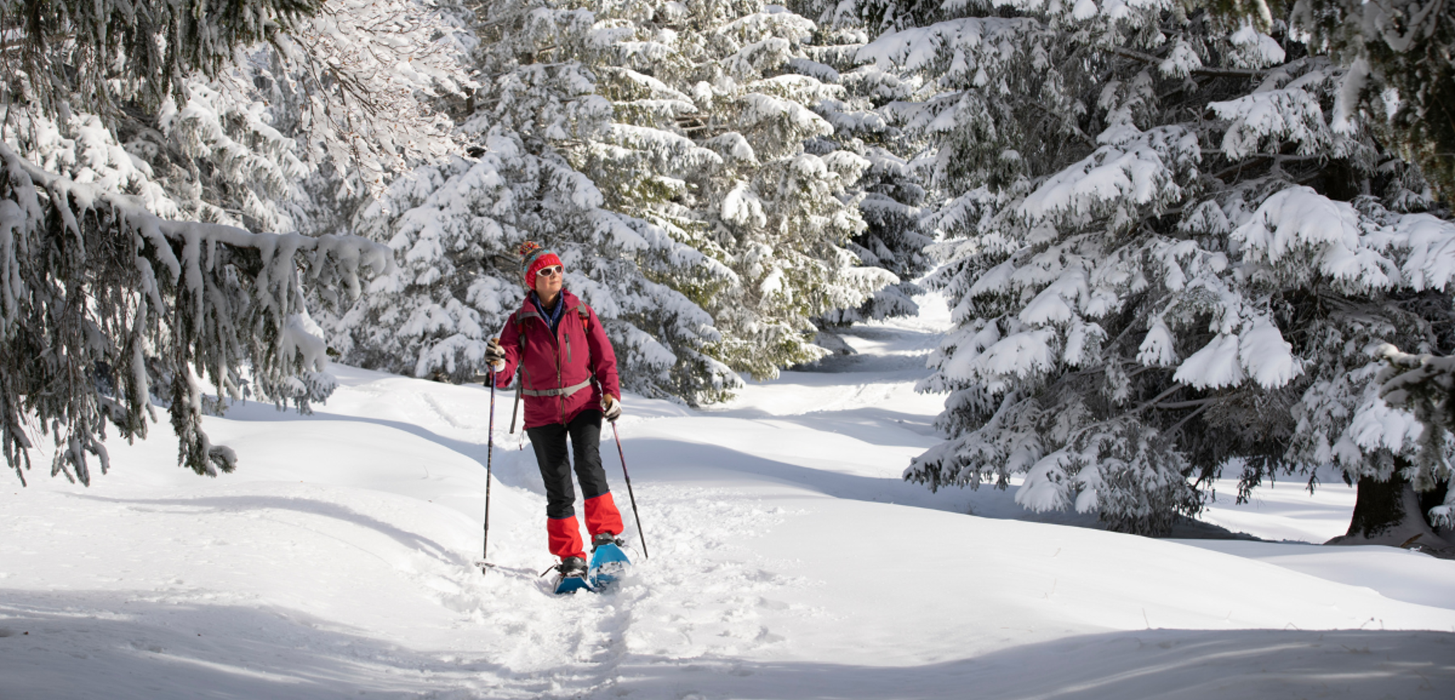 Randonnée en raquettes