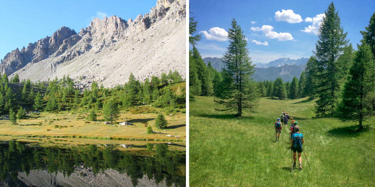 Baladez-vous en pleine nature 