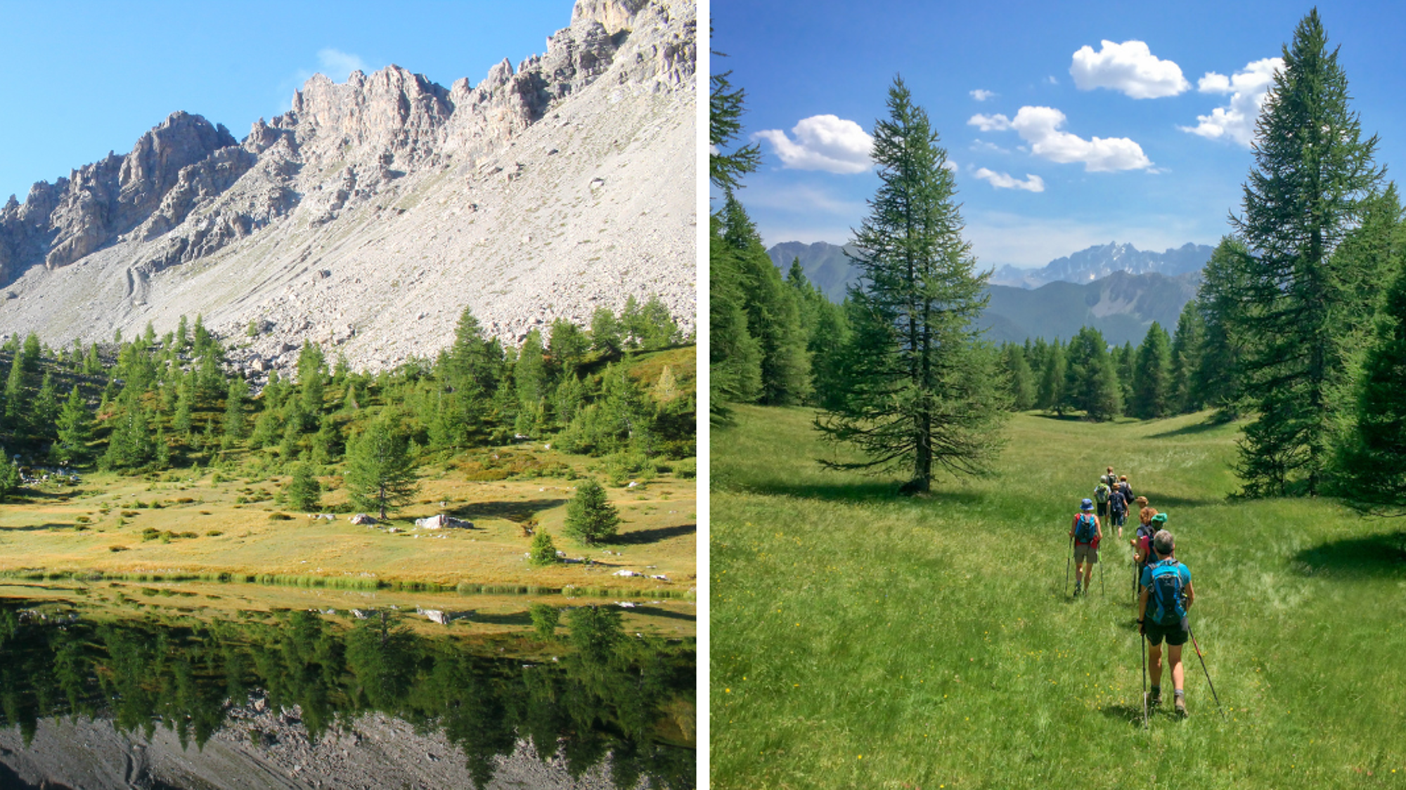Baladez-vous en pleine nature