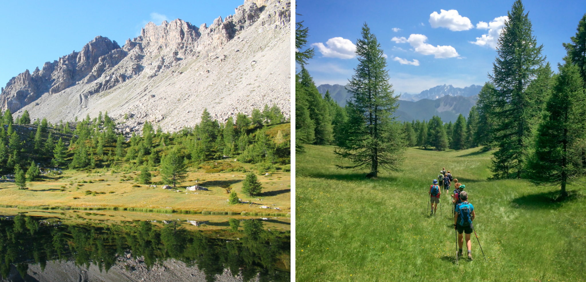 Baladez-vous en pleine nature