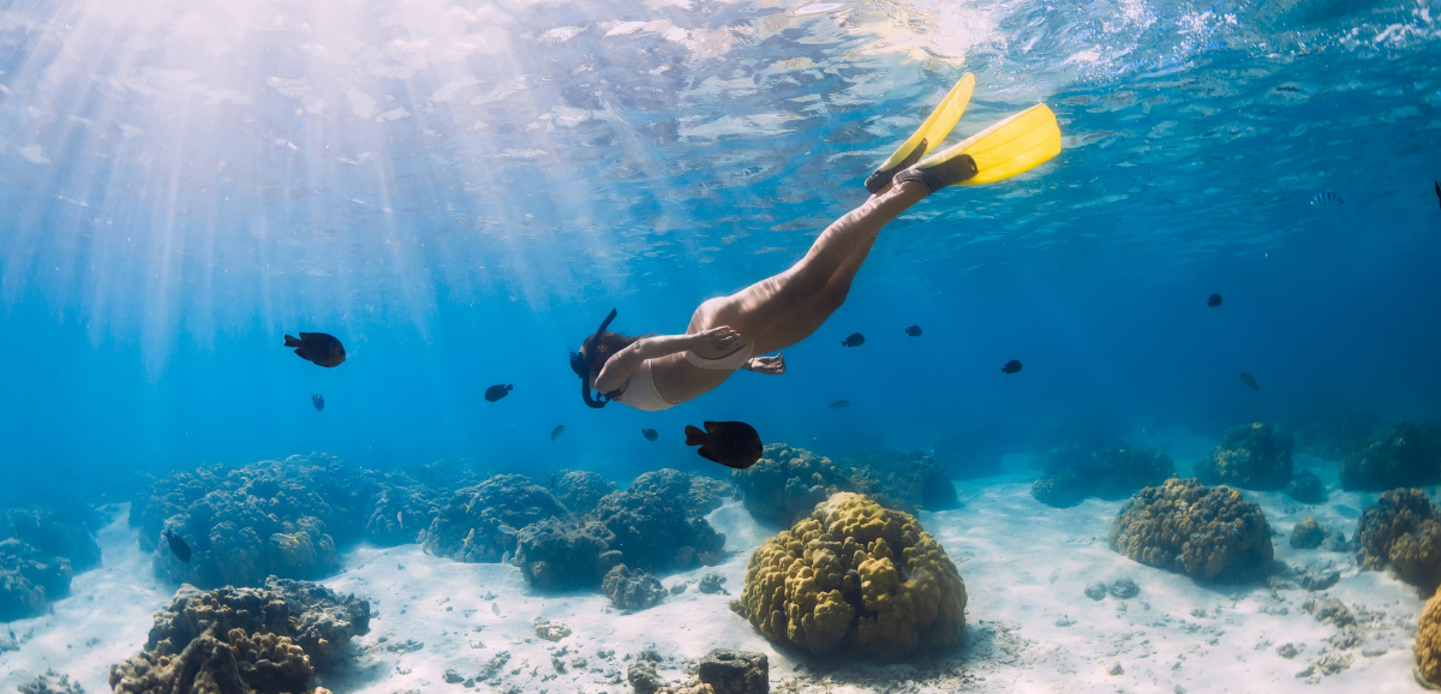 Et plongez dans les lagons