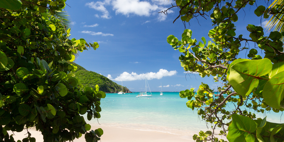 Entre plages paradisiaques