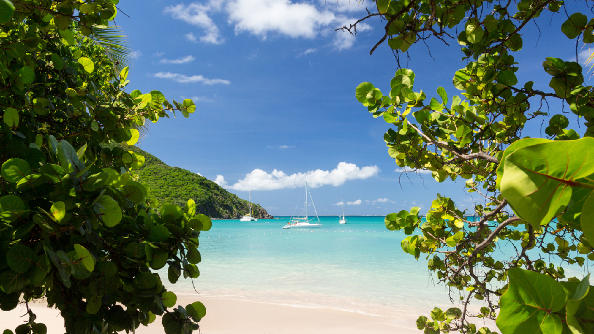 Entre plages paradisiaques