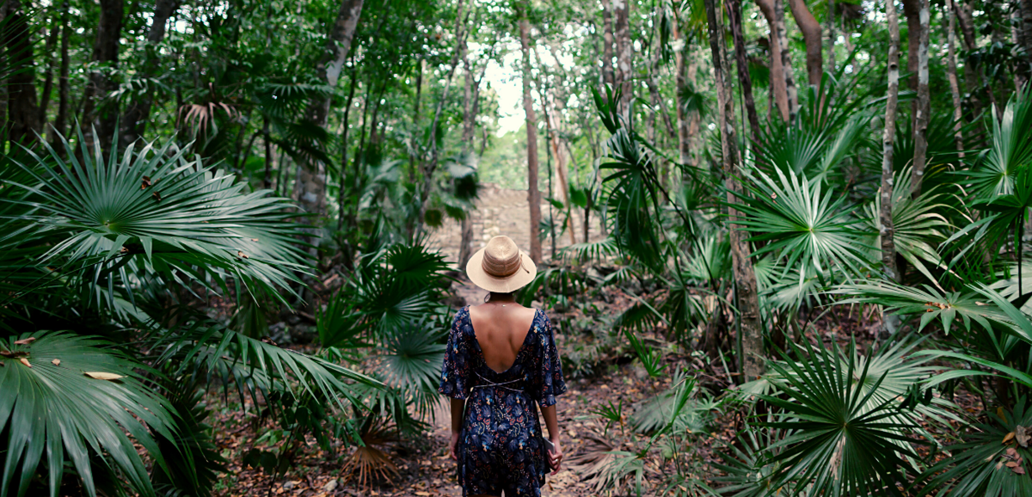 Au coeur de la jungle !