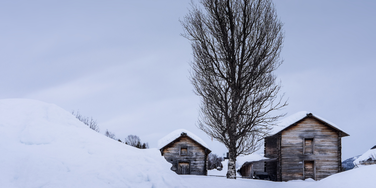 Maisons traditionnelles en bois