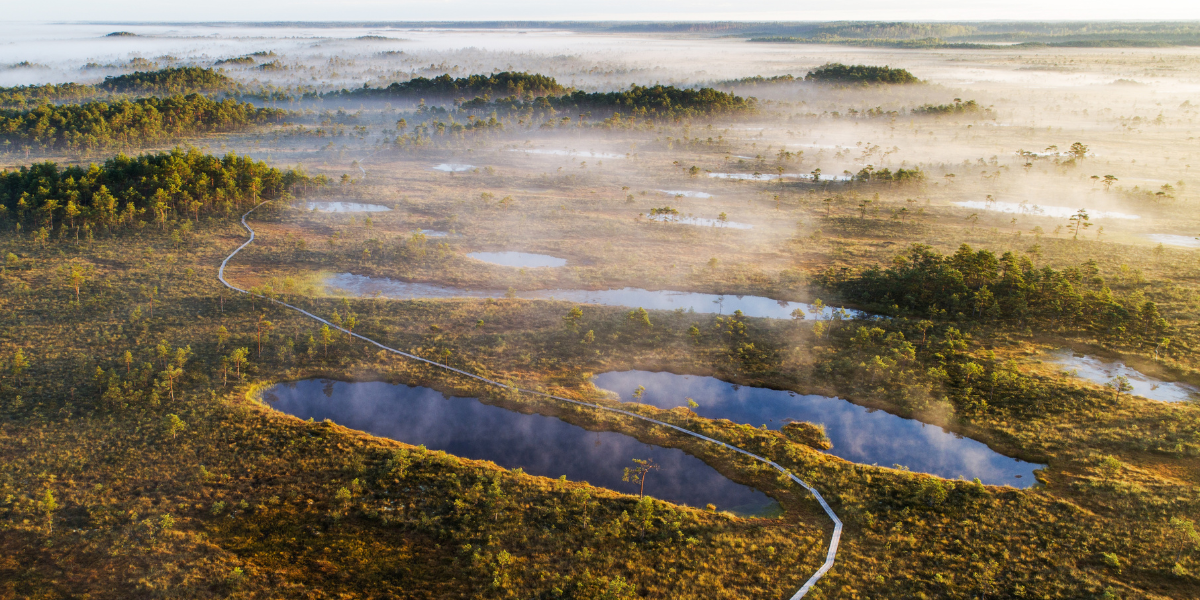 Une évasion dans le Parc National de Soomaa et ses marais - jour 7 