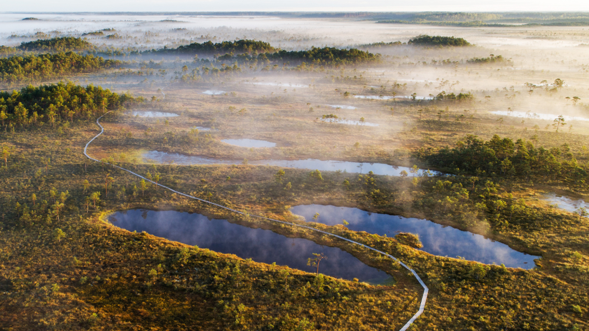 Une évasion dans le Parc National de Soomaa et ses marais - jour 7