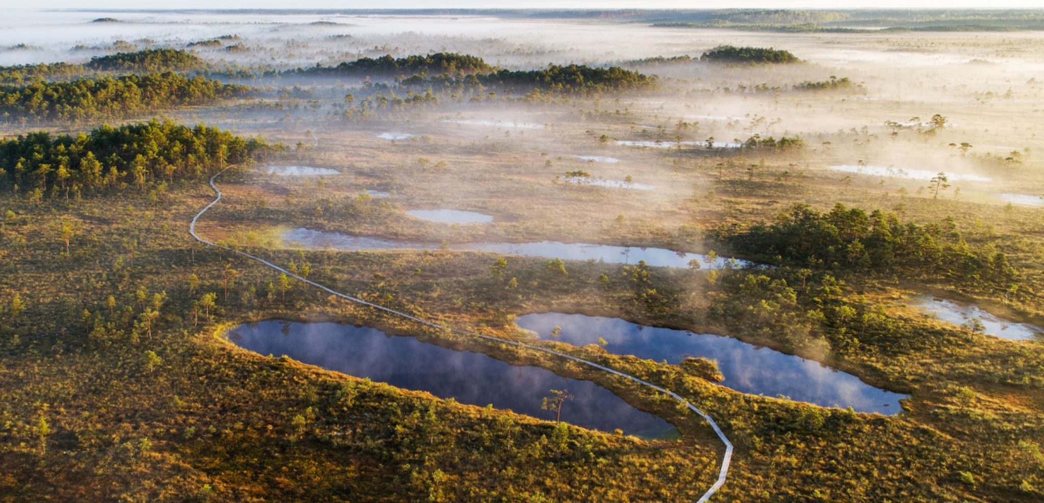 Une évasion dans le Parc National de Soomaa et ses marais - jour 7