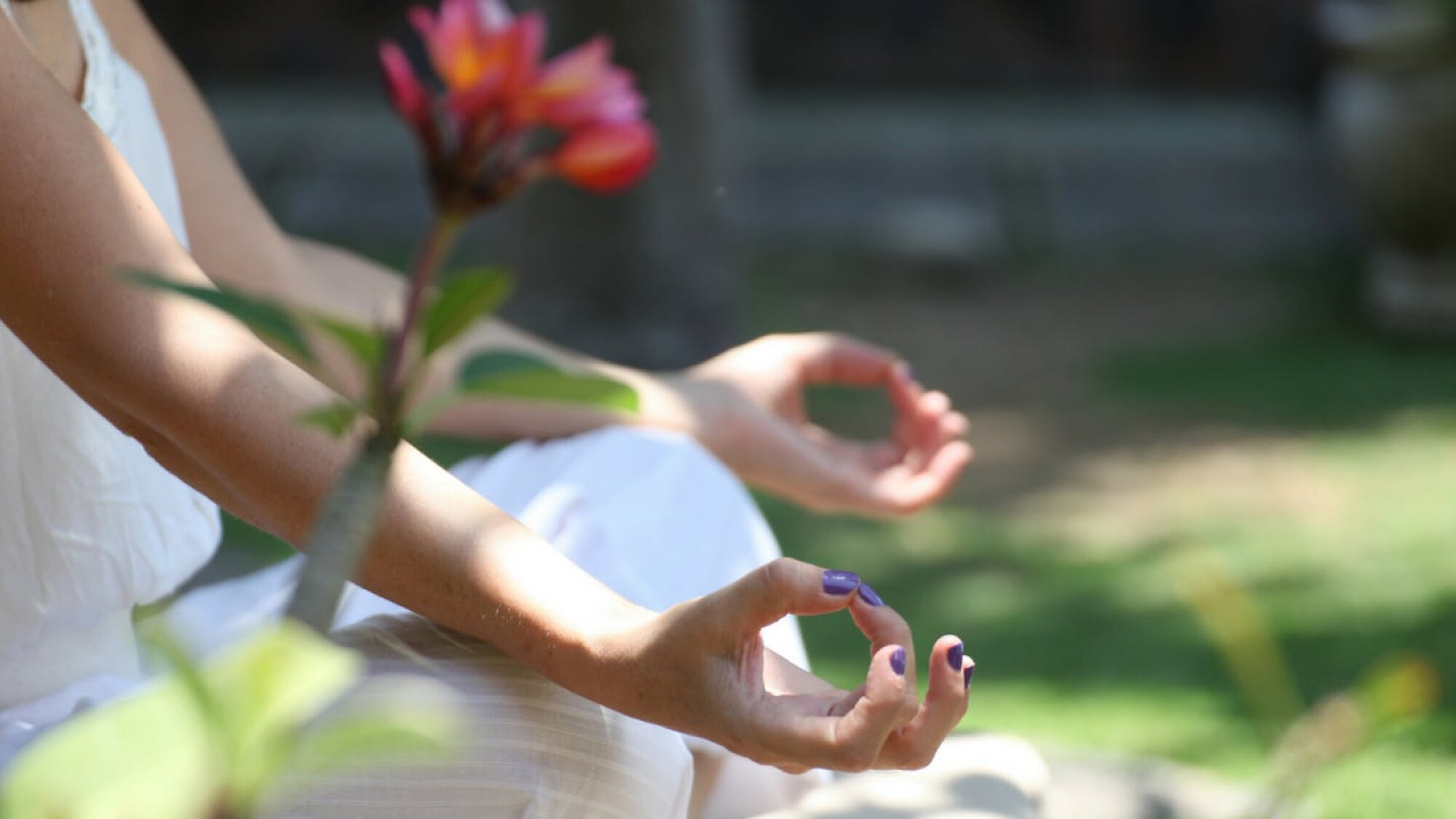 Où le bien-être est un art de vivre