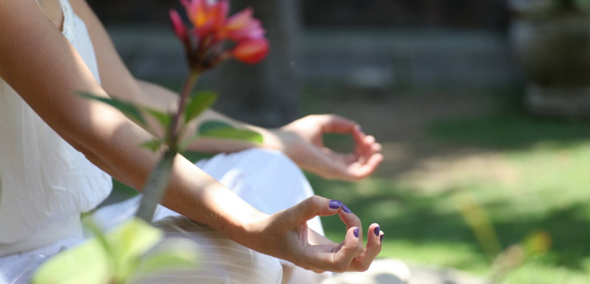 Où le bien-être est un art de vivre