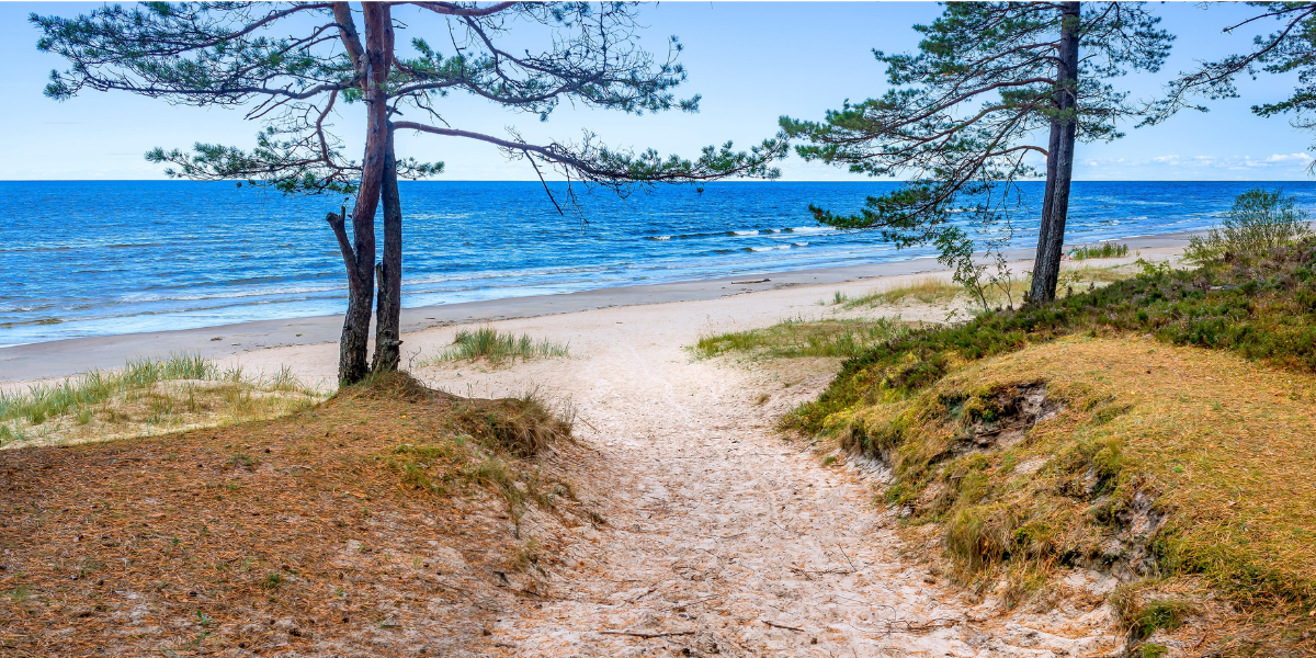 Les dunes de sable des plages de Jurmala, Lettonie - jour 5