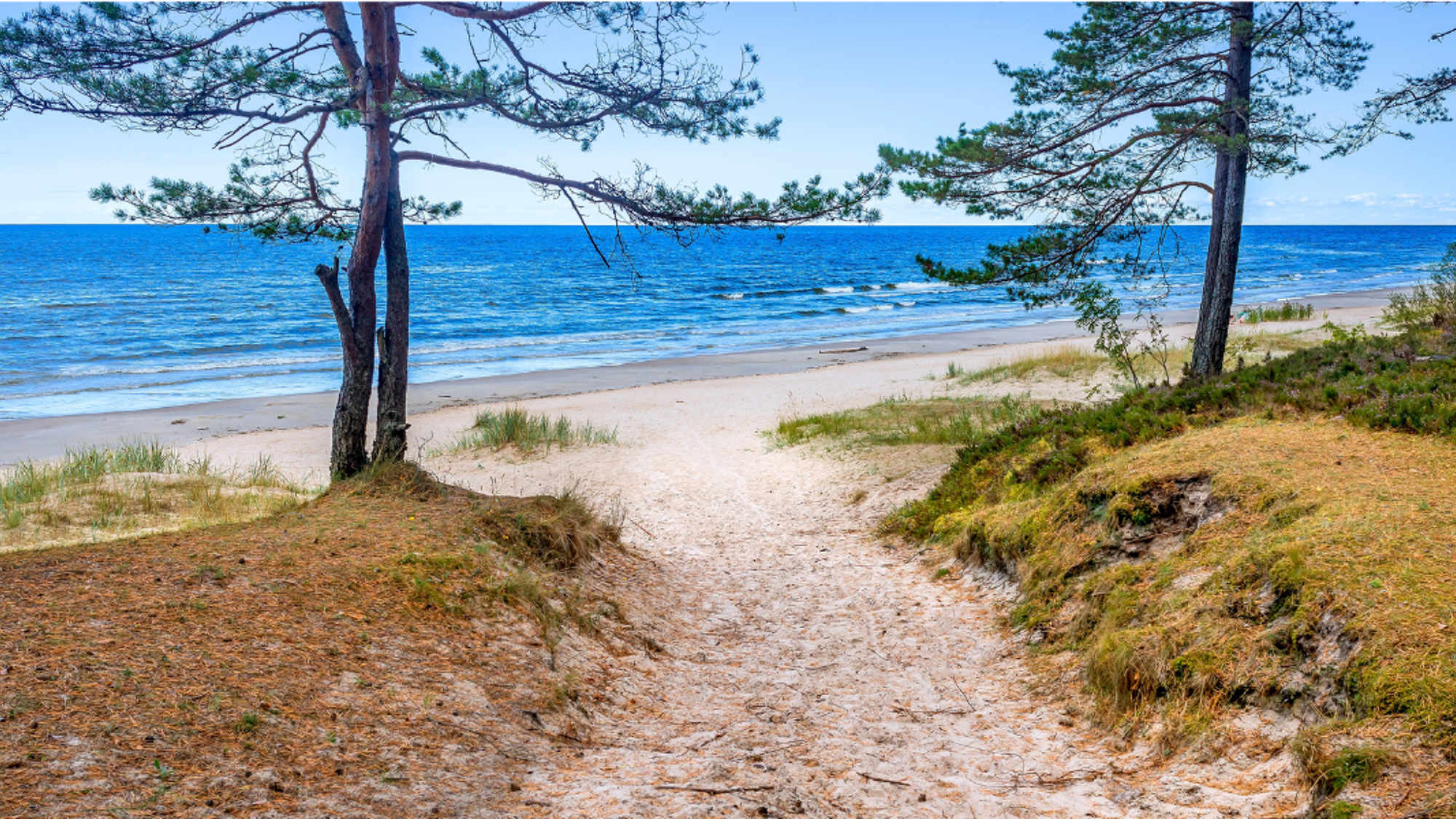 Les dunes de sable des plages de Jurmala, Lettonie - jour 5