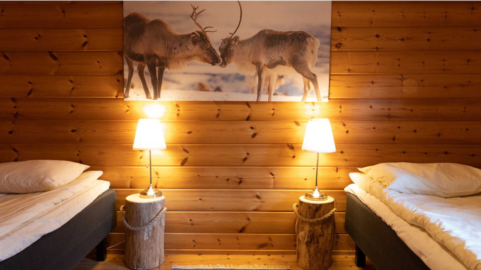 Chambre 2 avec 2 lits simples