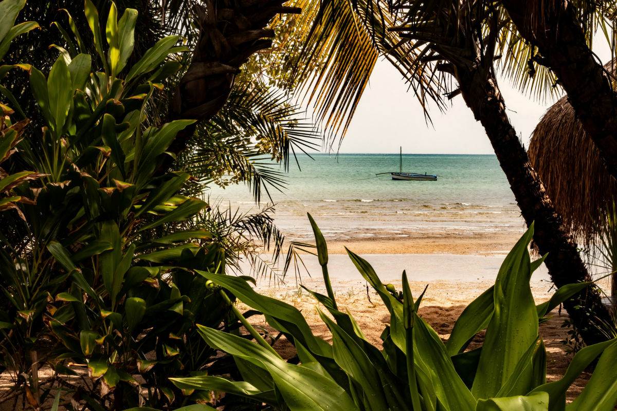 Mozambique ©Dan Maisey / Unsplash