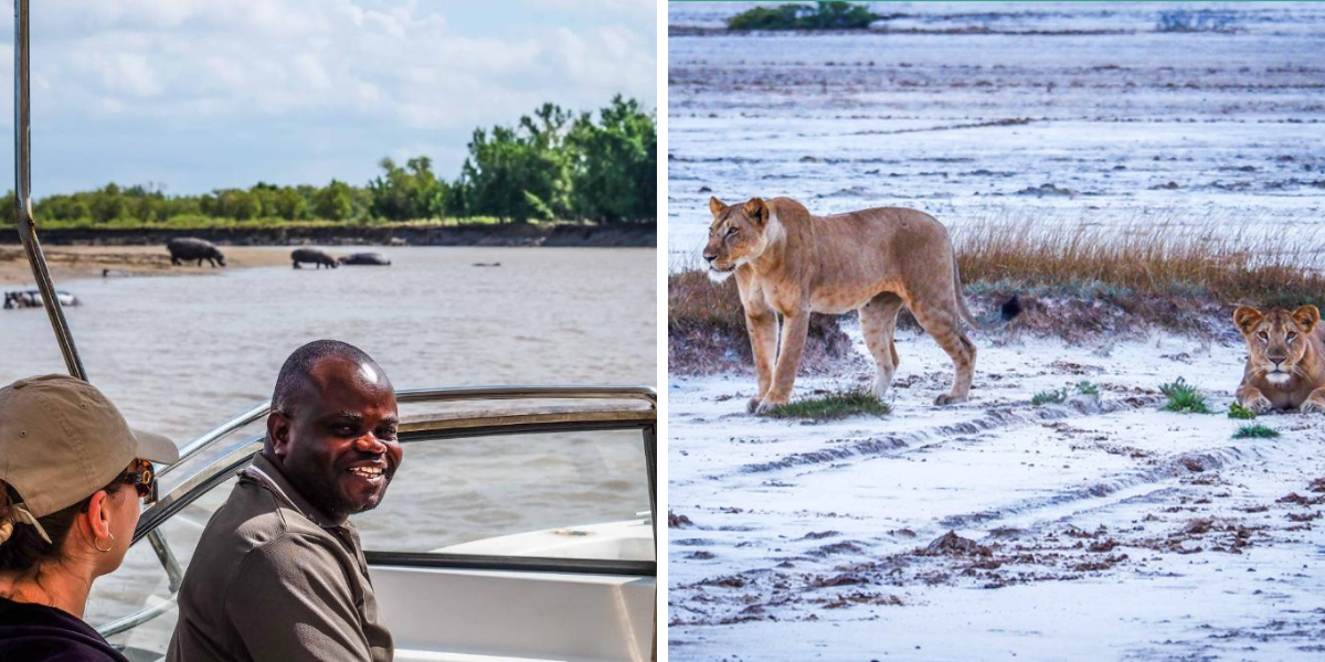 En option, partez en safaris dans la réserve de Saadani, au bord de l'Océan Indien !