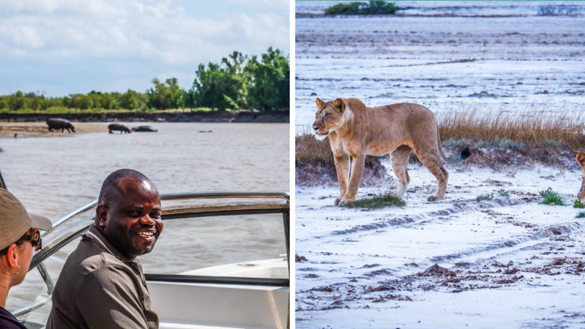 En option, partez en safaris dans la réserve de Saadani, au bord de l'Océan Indien !