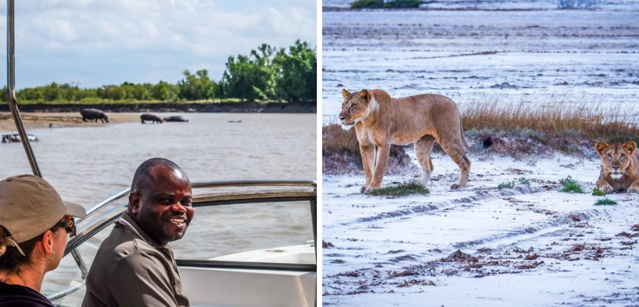 En option, partez en safaris dans la réserve de Saadani, au bord de l'Océan Indien !