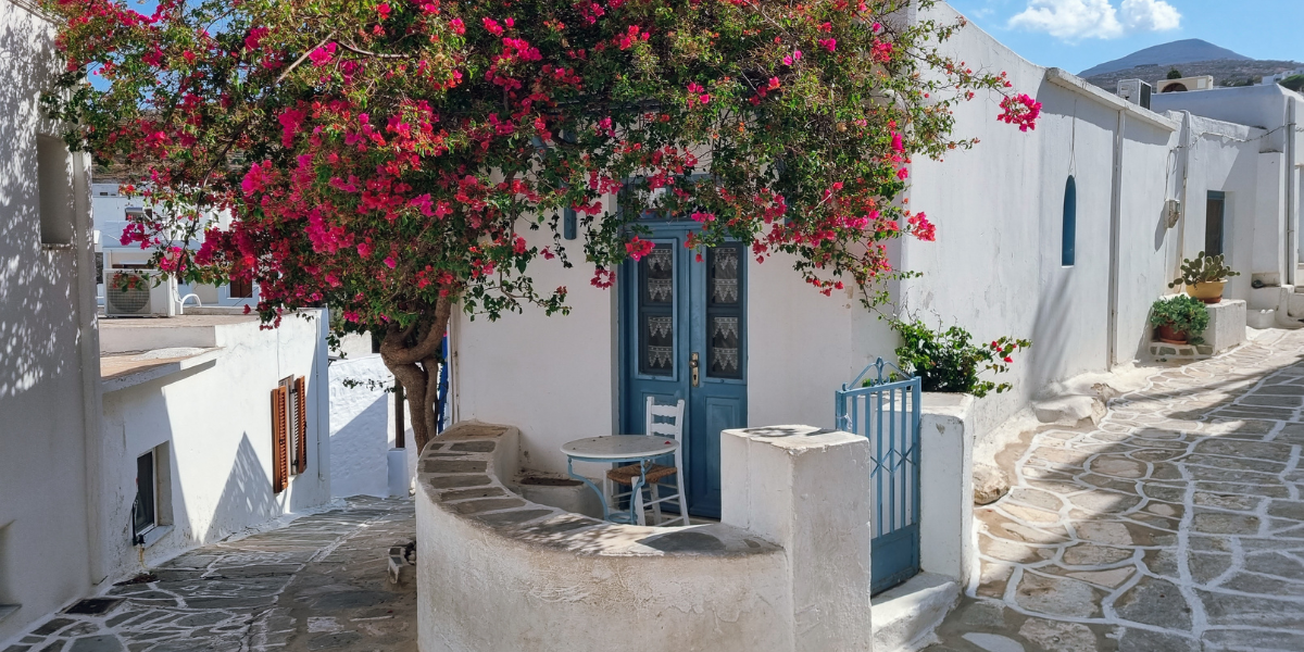 Un séjour à l'ombre des bougainvilliers 