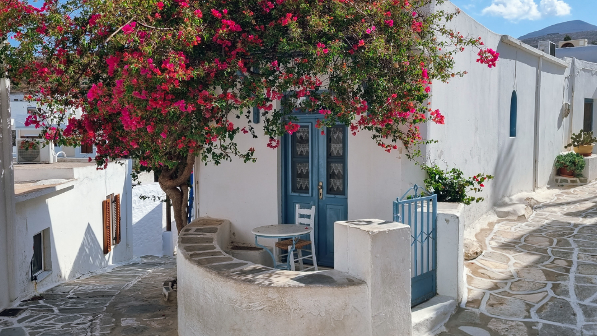Un séjour à l'ombre des bougainvilliers