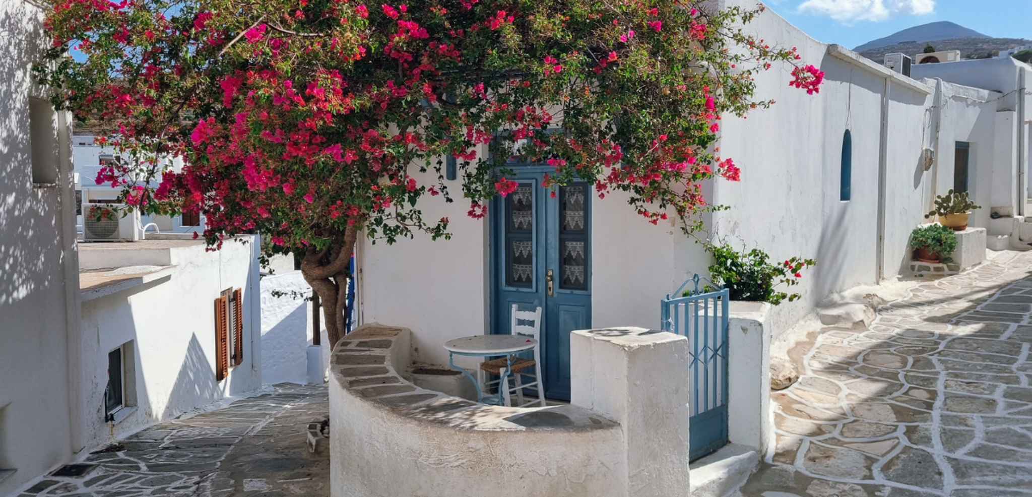 Un séjour à l'ombre des bougainvilliers