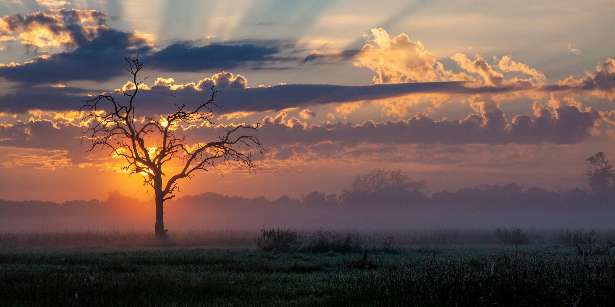 Concession de Khwai, Botswana