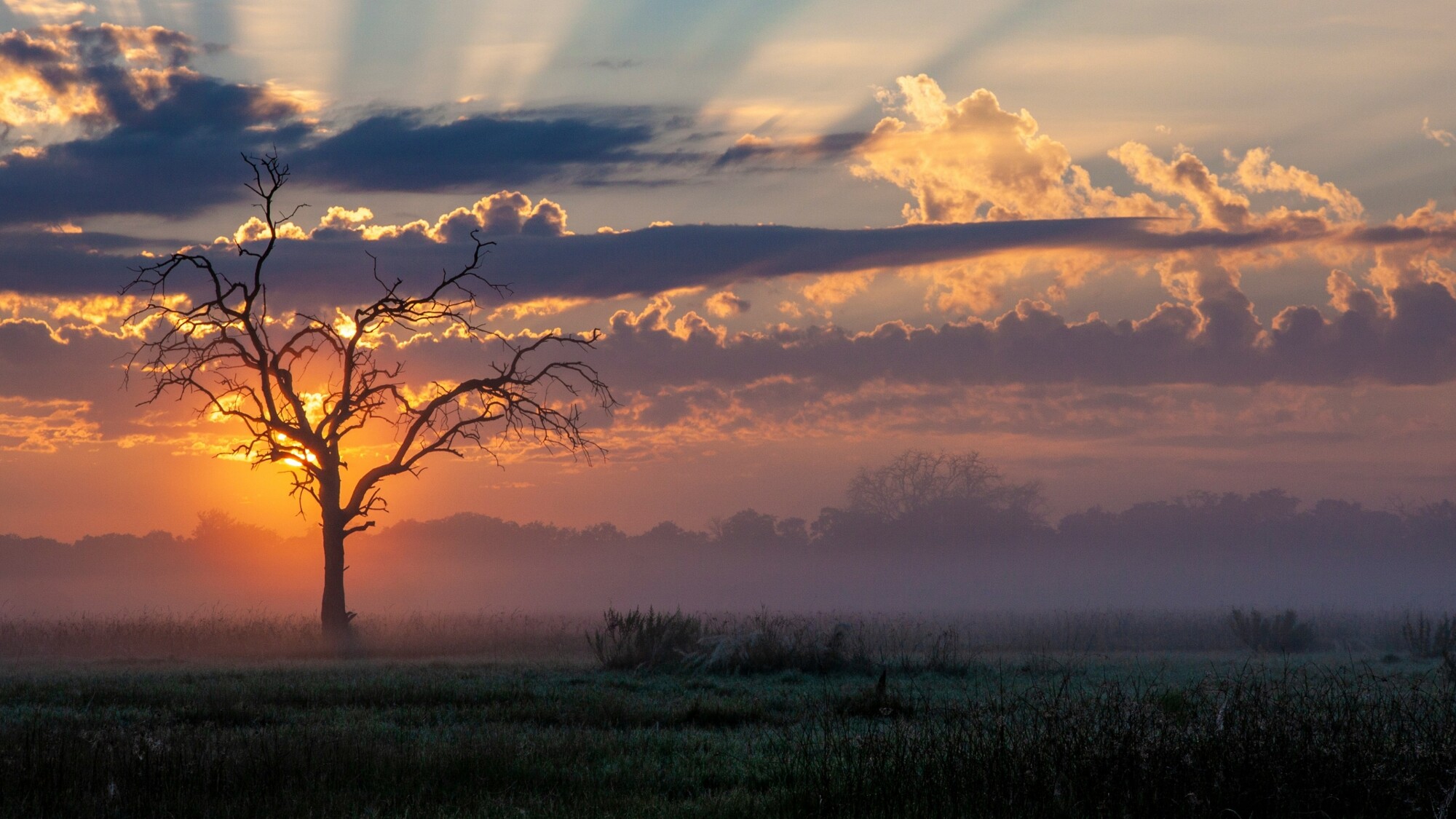 Concession de Khwai, Botswana