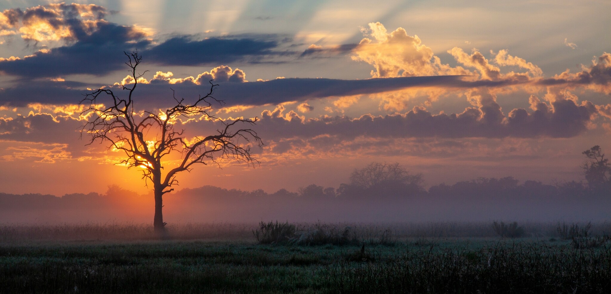Concession de Khwai, Botswana
