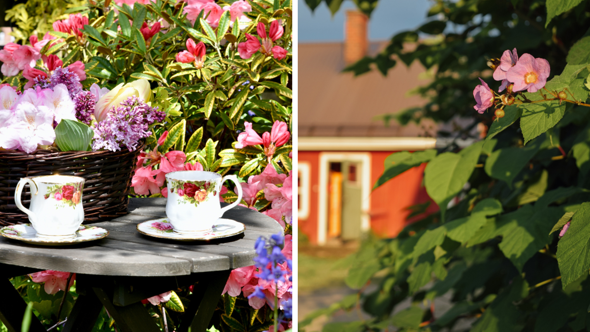 Une parenthèse bucolique