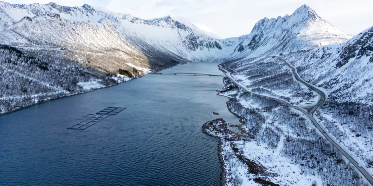 Les paysages enneigés de Gryllefjord  - jour 5 