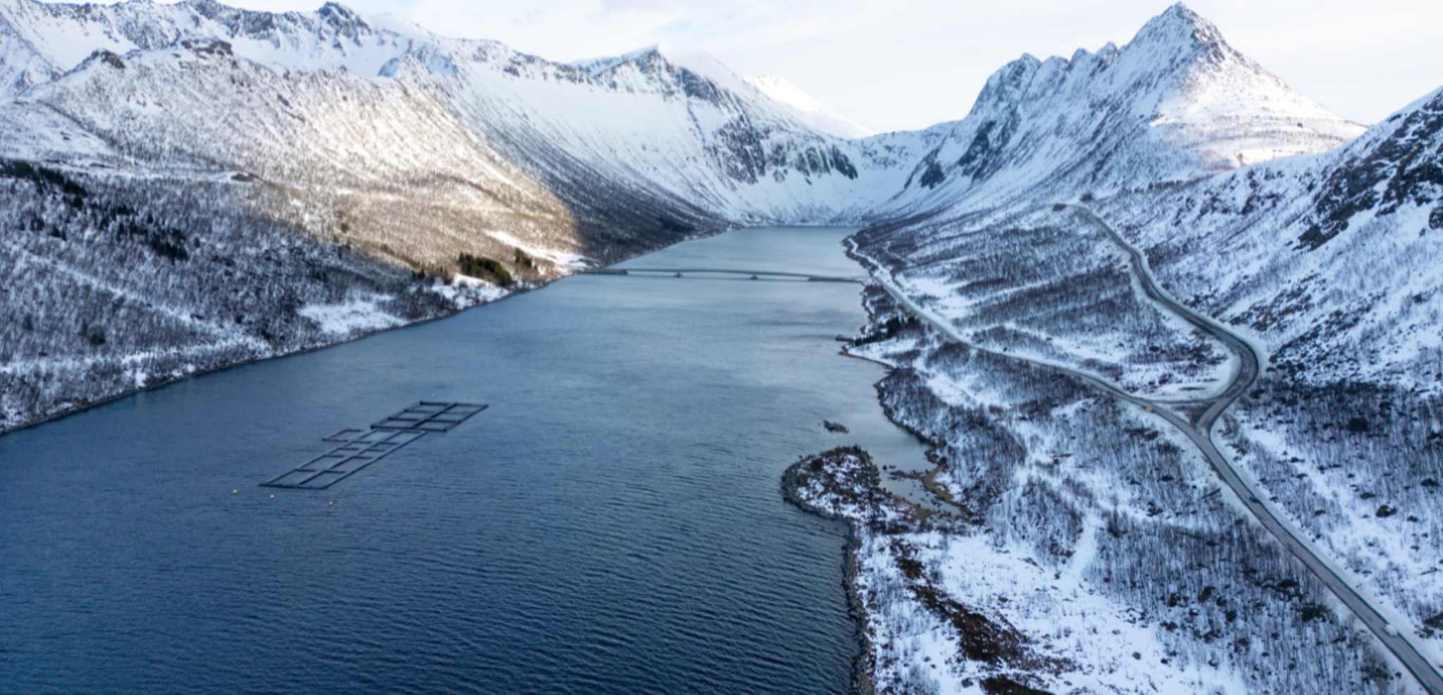 Les paysages enneigés de Gryllefjord - jour 5