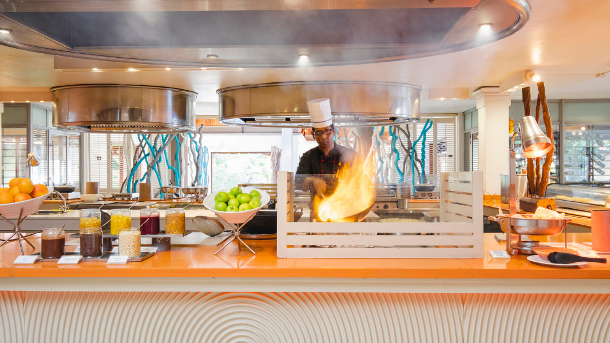 Dégustez de délicieux repas