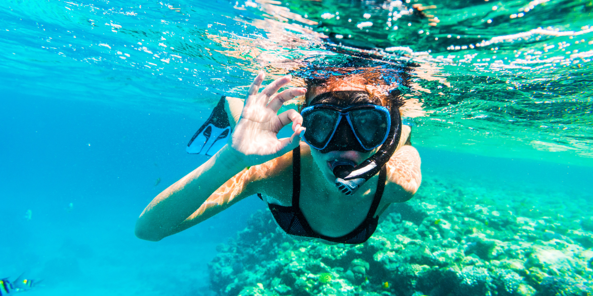 Une session snorkeling au milieu des poissons dans la réserve Cousteau, Ilet Piegon - Jour 5