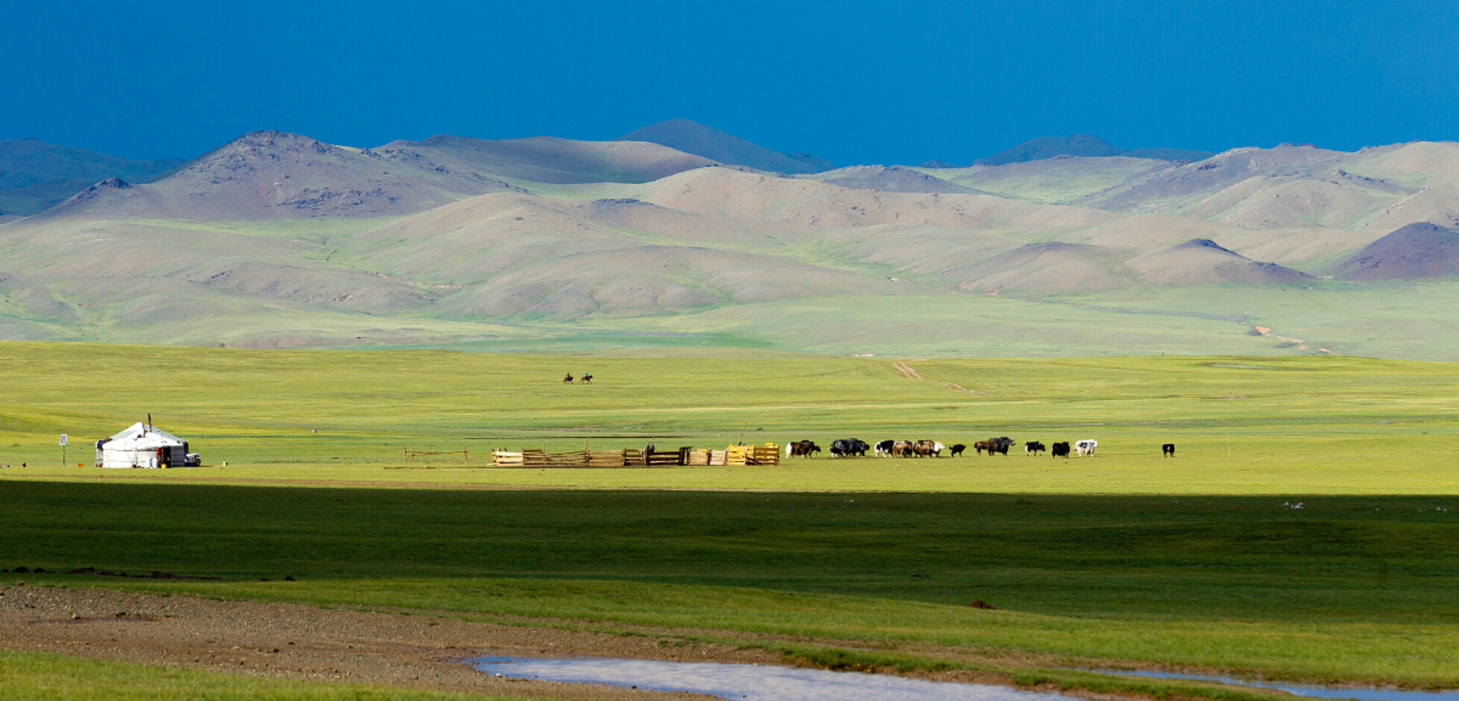 Bienvenue dans les steppes de Mongolie !