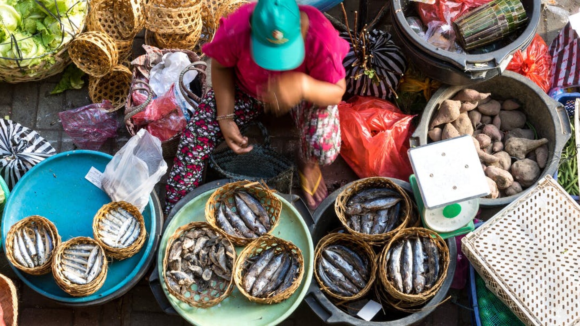 Le plein de couleurs et de saveurs sur les étals des marchés