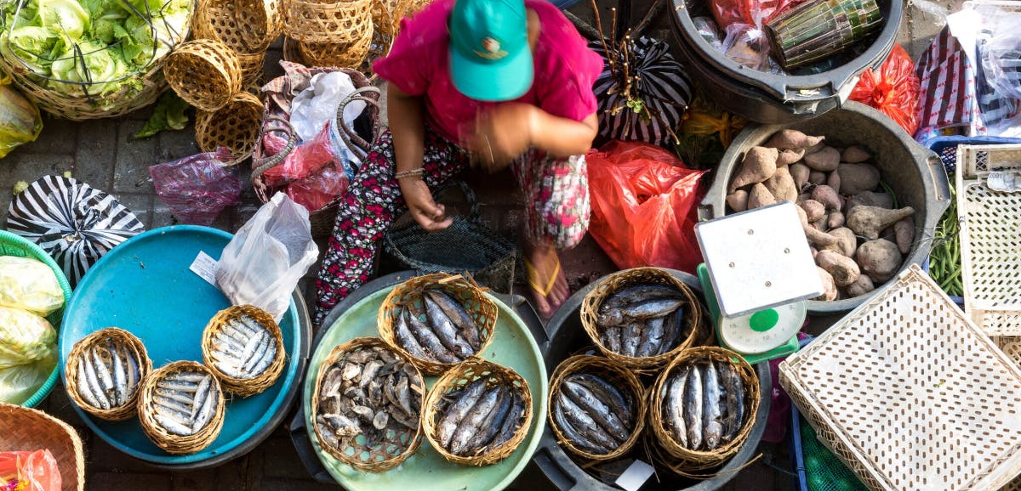 Le plein de couleurs et de saveurs sur les étals des marchés