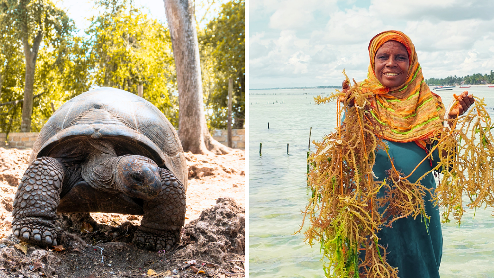 Rencontre avec les tortues et les locaux