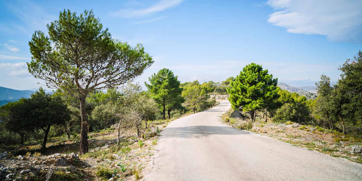 Puis, montez à bord d'une jeep à la découverte du Parc Naturel de la « Sierra de las Nieves »