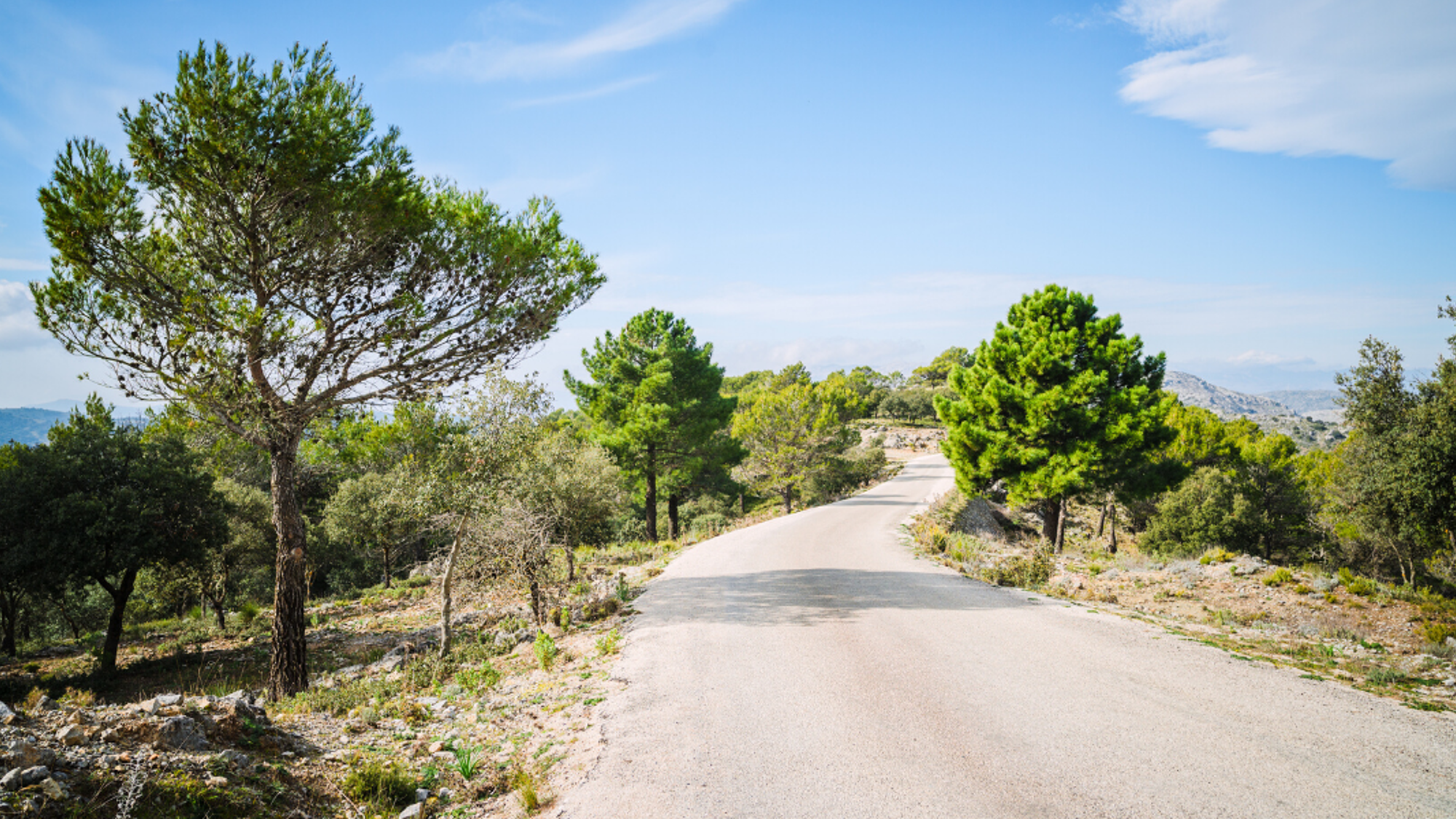Puis, montez à bord d'une jeep à la découverte du Parc Naturel de la « Sierra de las Nieves »