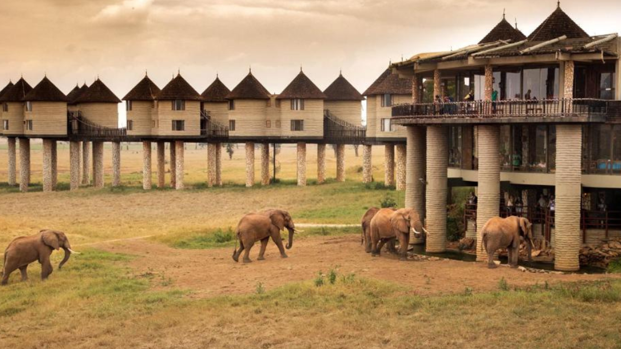 Avec point d'eau pour observer au plus près les éléphants ! Salt Lick Safari Lodge