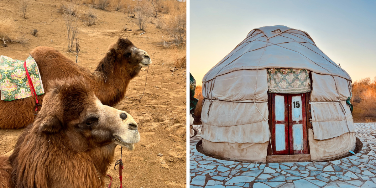 Puis vivez une expérience unique dans un campement de yourtes kazakhs !