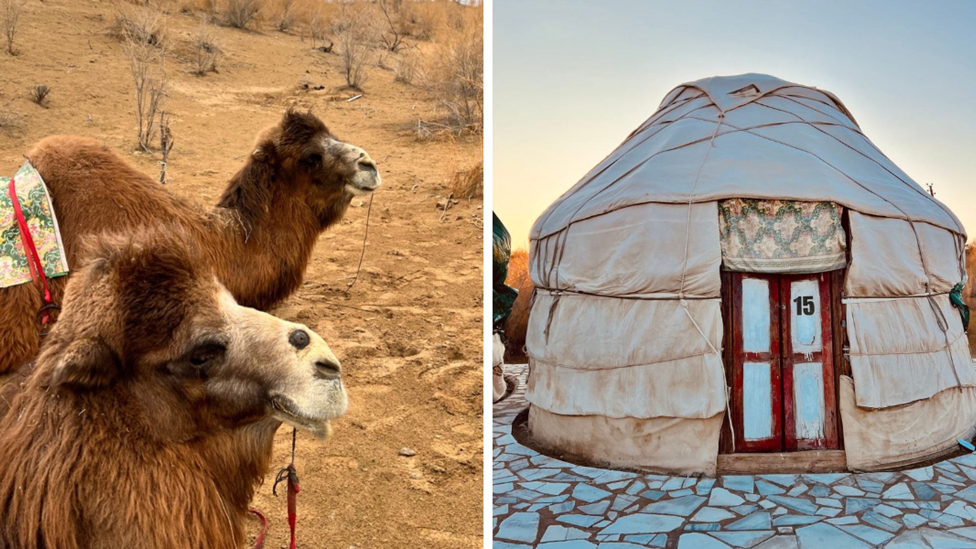 Puis vivez une expérience unique dans un campement de yourtes kazakhs !