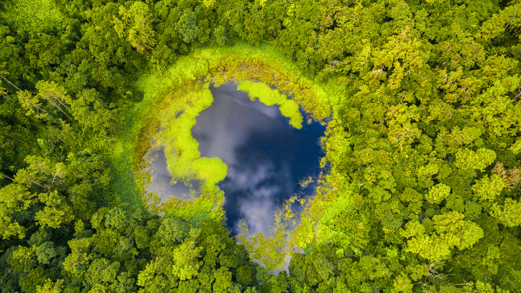 Explorez le sud sauvage : le volcan éteint de Trou Aux Cerfs