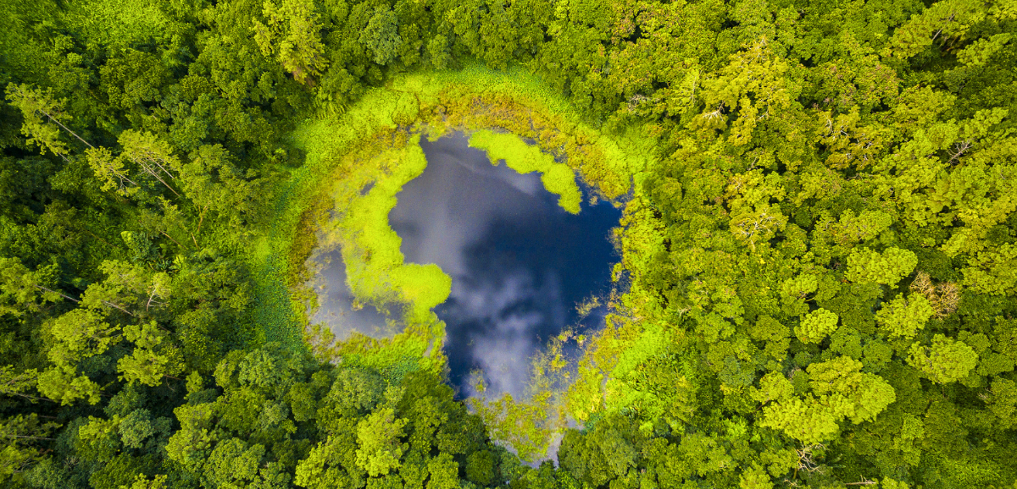 Explorez le sud sauvage : le volcan éteint de Trou Aux Cerfs