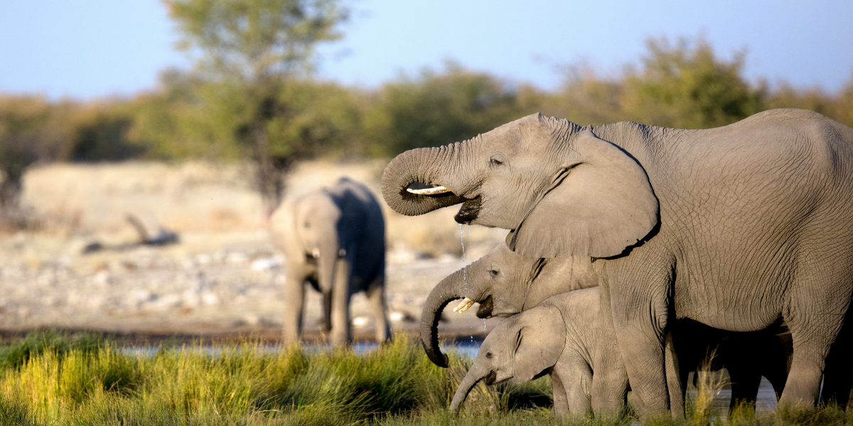 A la recherche des Big Five