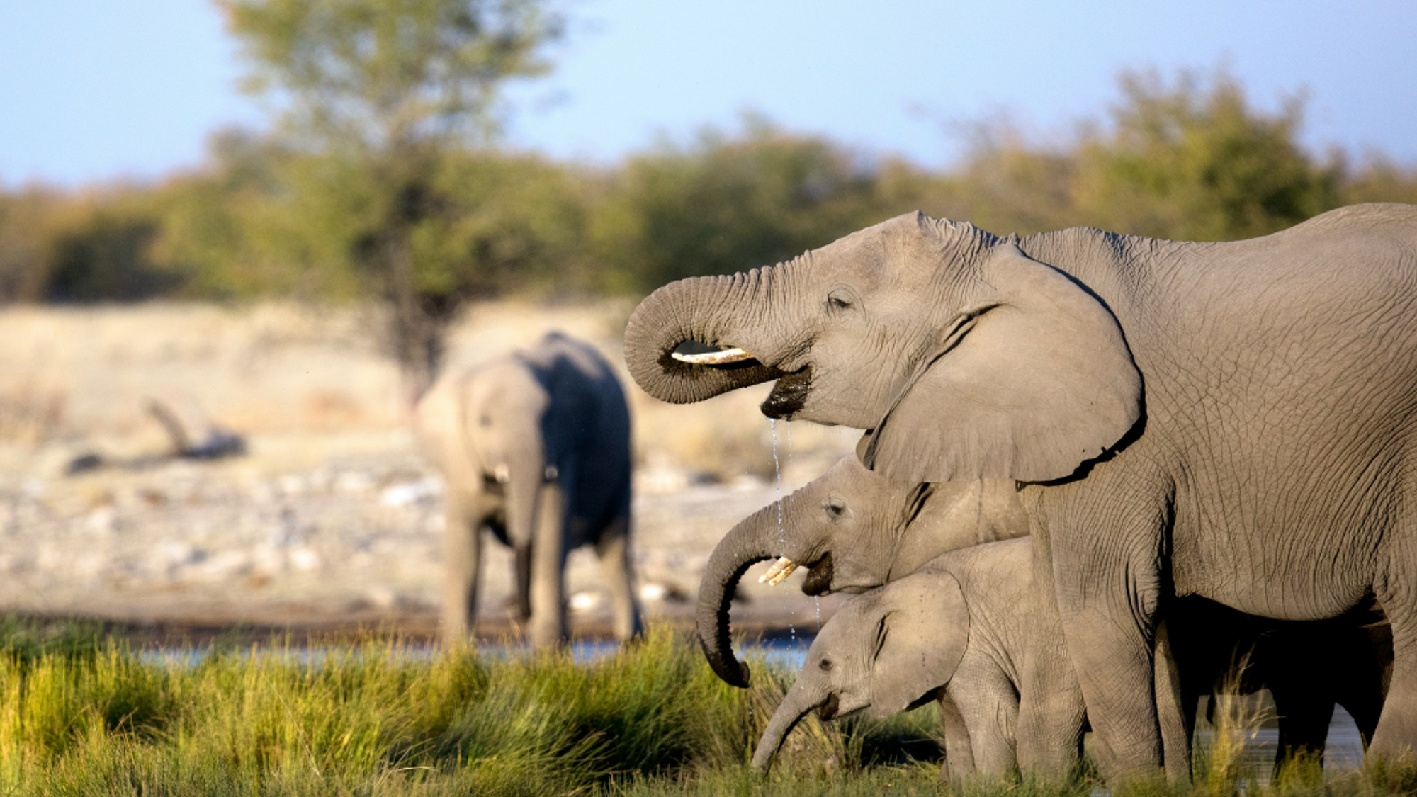 A la recherche des Big Five